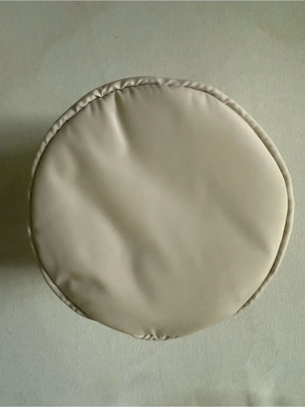 NWOT Dagne Dover Padded Cosmetic Case with Top Handle